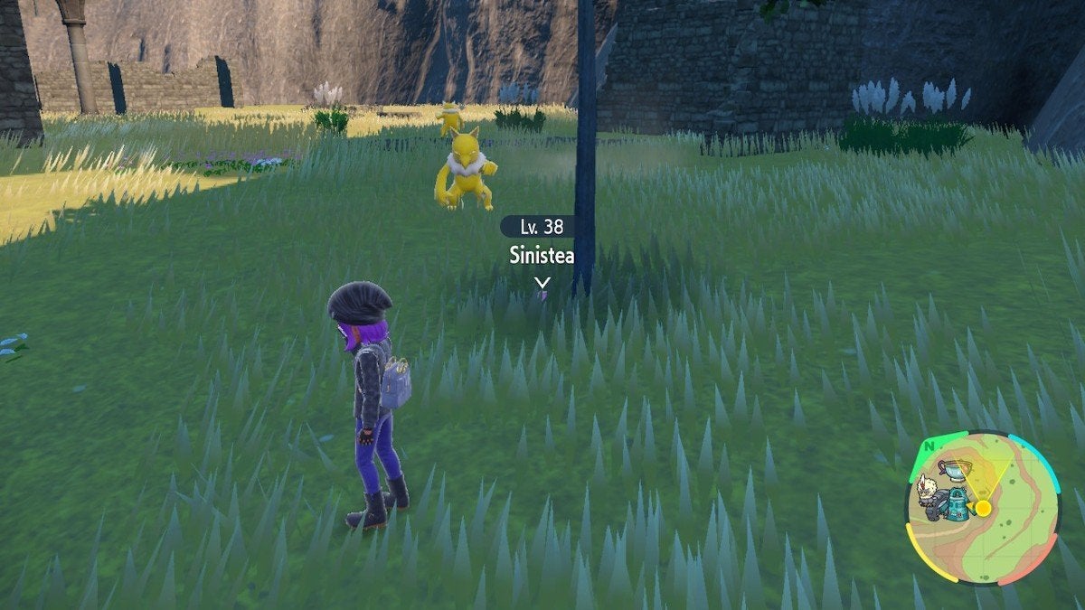 A player spotting a Sinistea sleeping in the tall grass.