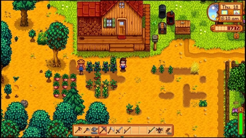 A character looking at Blueberry crops in Stardew Valley.