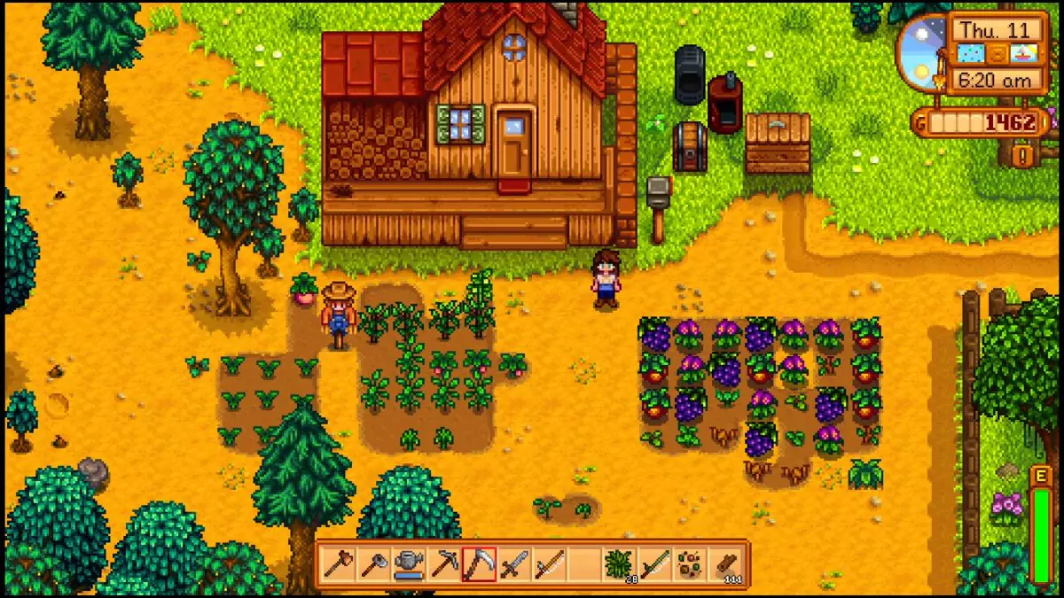 A character looking at their summer crops in Stardew Valley