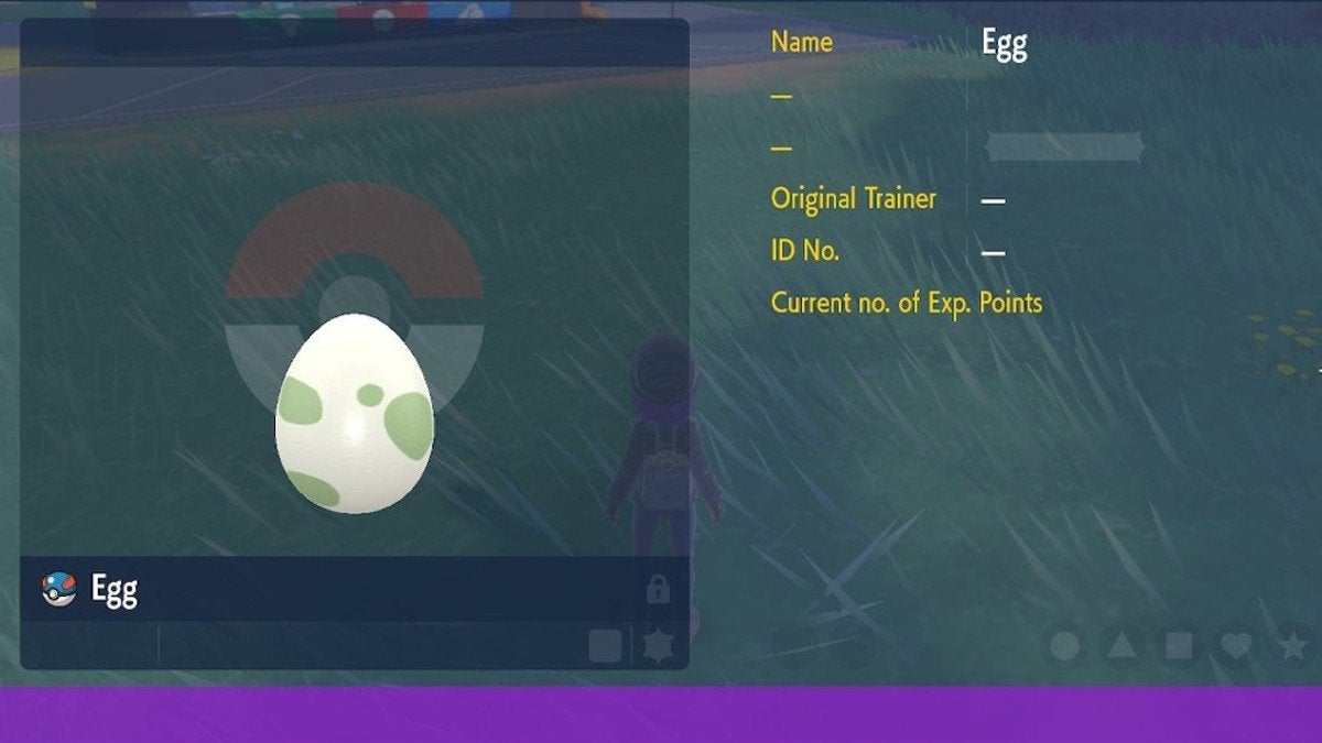 An egg in the summary menu with the edges of the frame cropped.