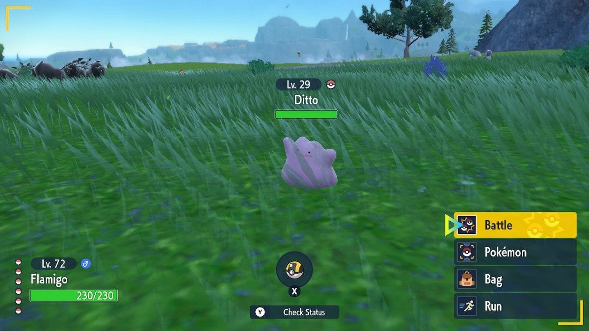 Pokémon Scarlet & Violet: Where to Find Ditto