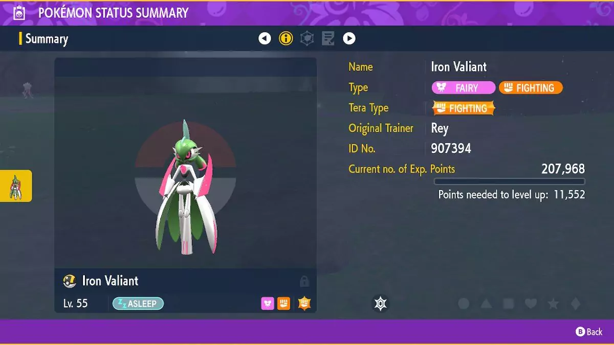 The summary page of an Iron Valiant.