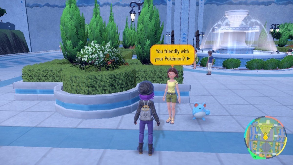 A player talking to an NPC that checks friendship in Cascarrafa city.