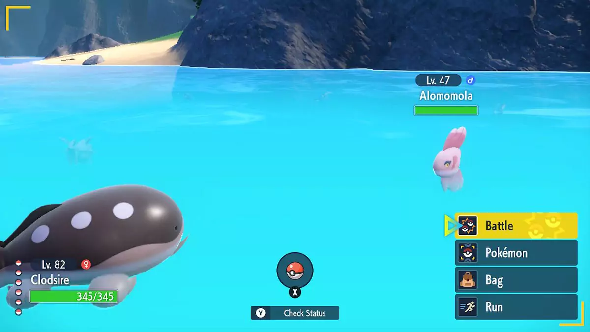 A player battling a wild Alomomola with a Clodsire.