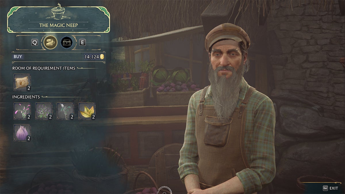 A player buying potion ingredients from The Magic Neep in Hogwarts Legacy.