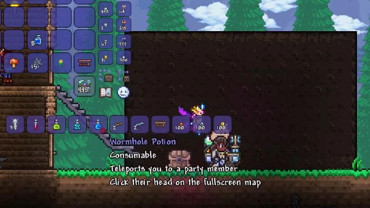 A Wormhole Potion in Terraria.