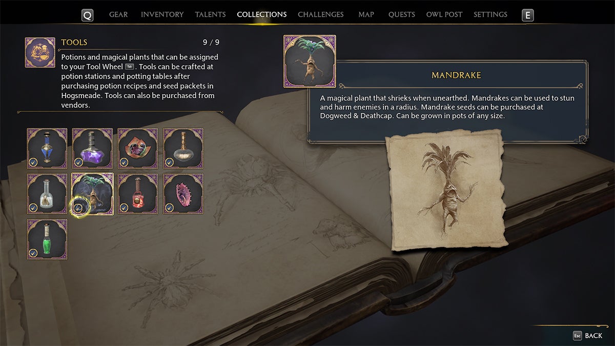 Menu description mentioning that Mandrakes are a tool used for stunning and harming enemies.
