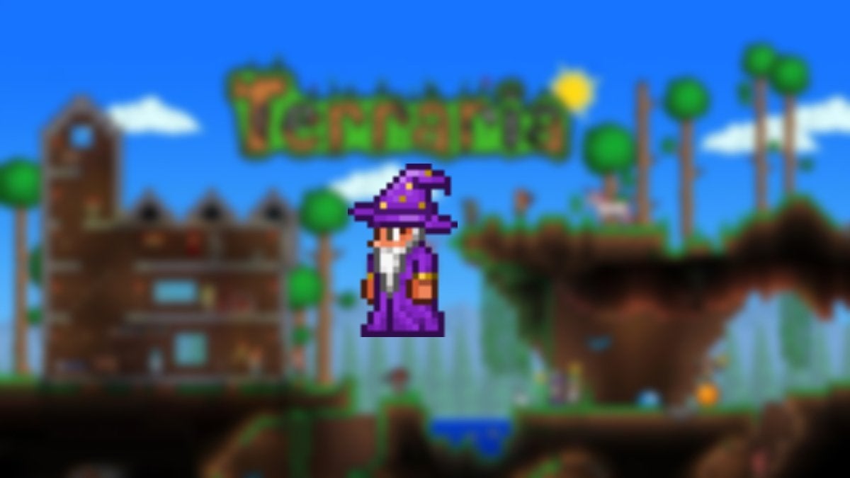 Wizard from Terraria.