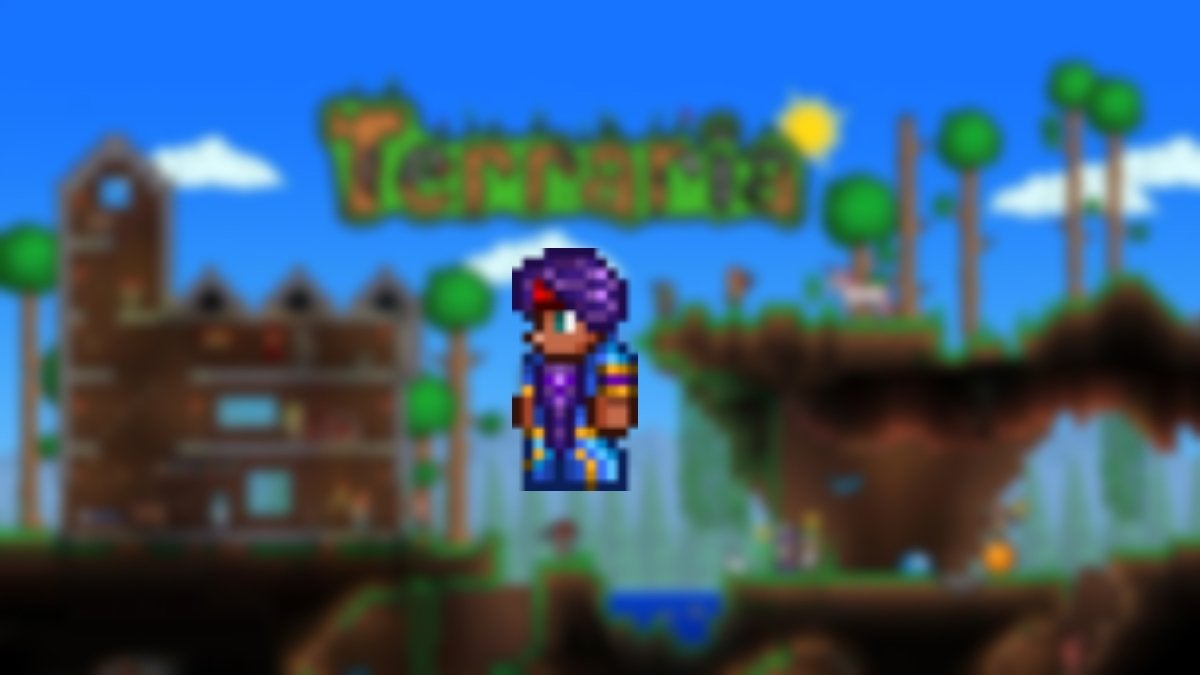 The Dye Trader from Terraria.