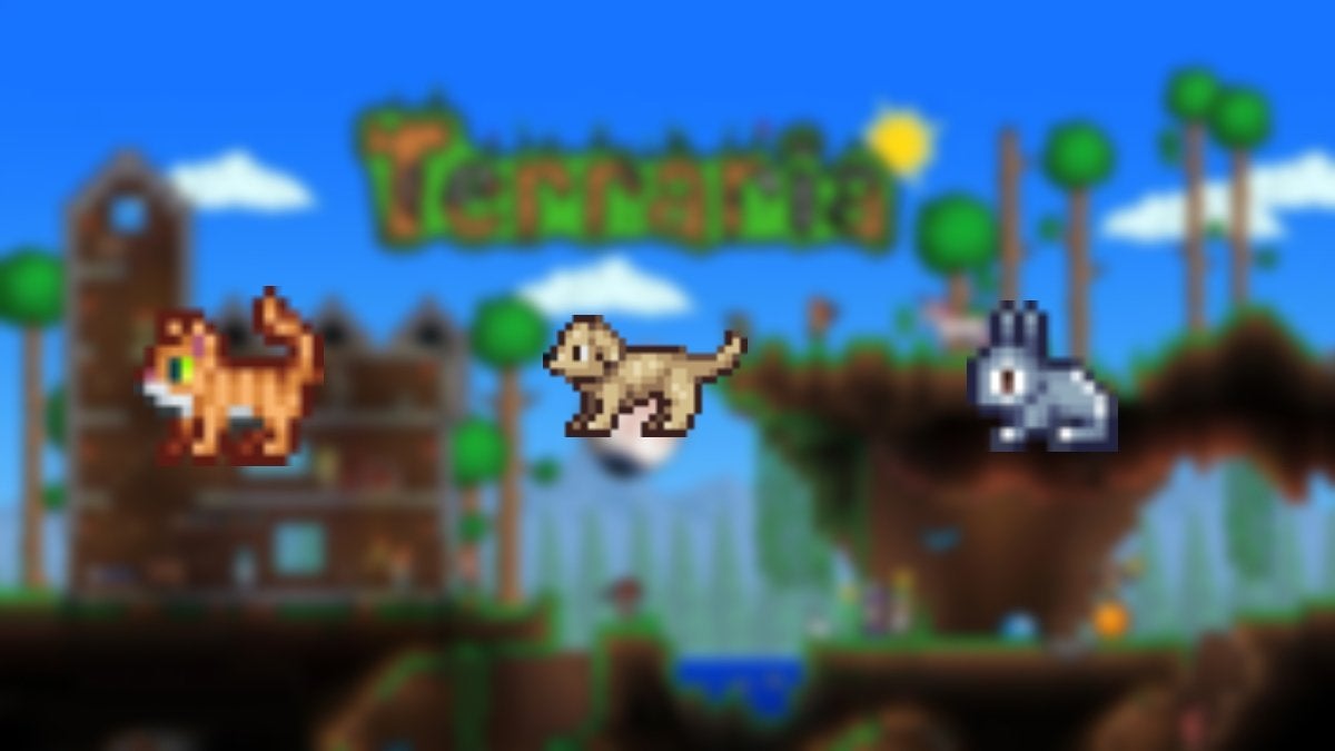 The Town Pets of Terraria.