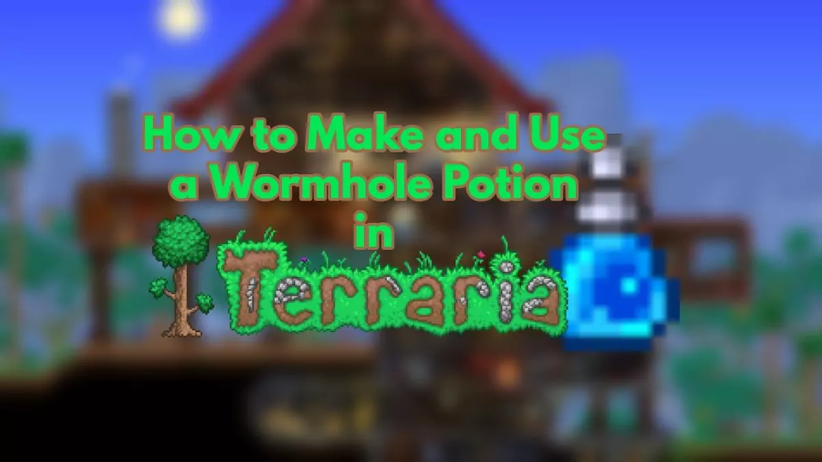 Wormhole Potion from Terraria.
