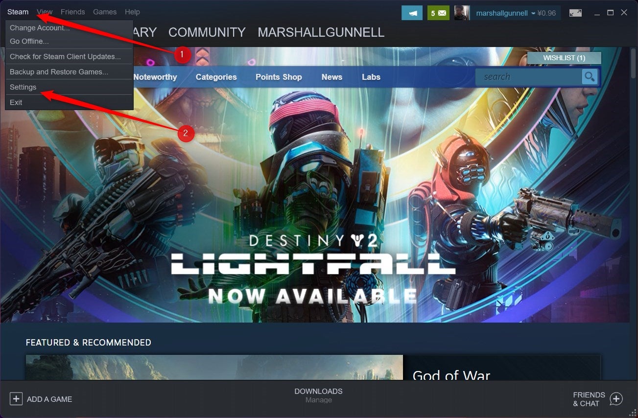 Steam's Settings option.
