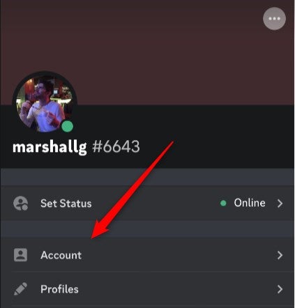 The Account option on Discord for mobile.
