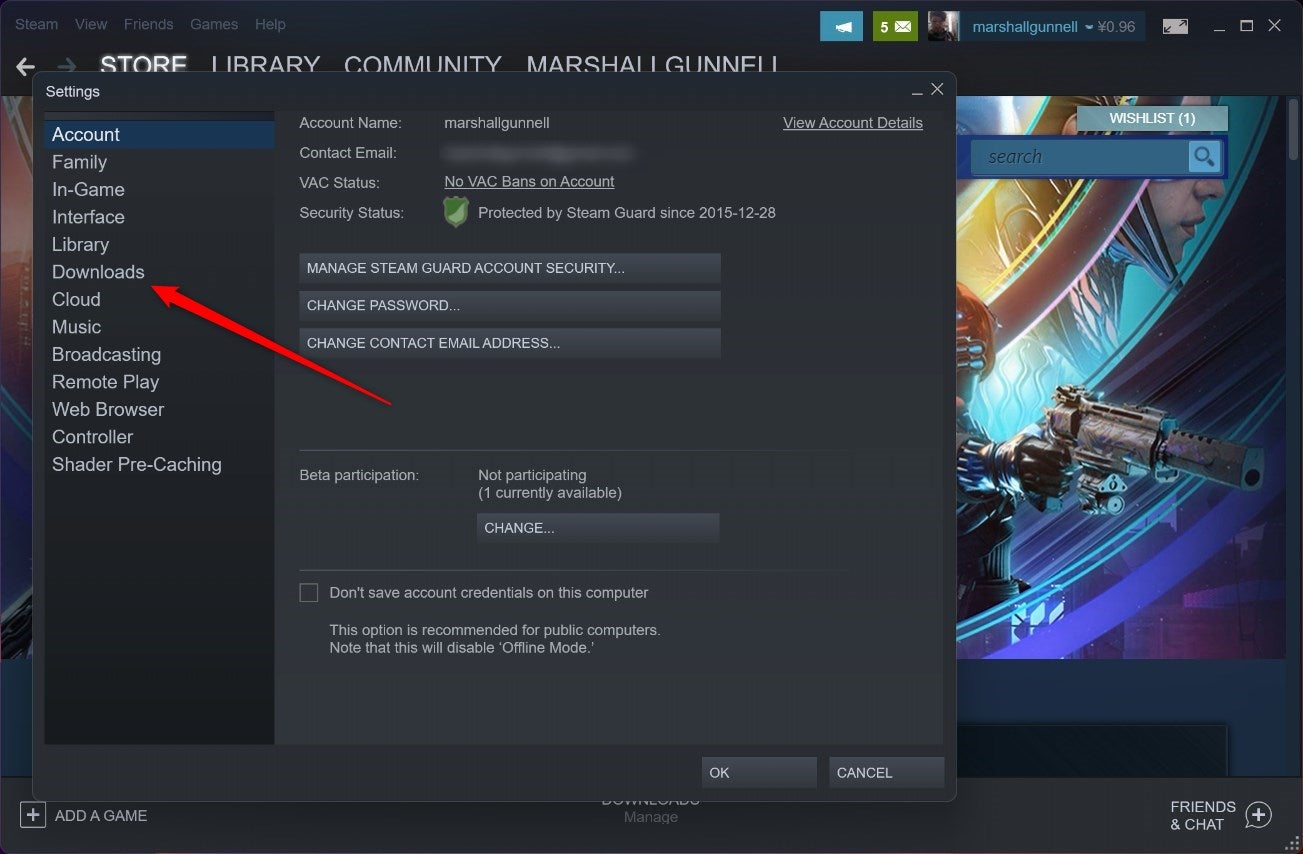 The Downloads option in Steam's Settings menu.