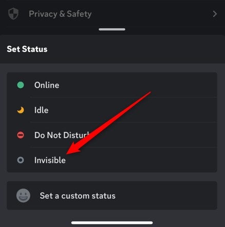 The invisible status option in Discord.