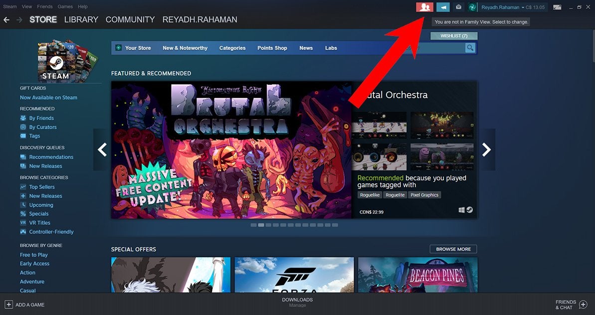 A red arrow pointing to the Family View icon at the top-right of a Steam window.