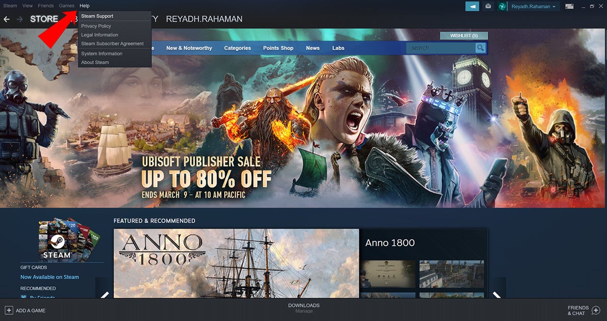 Red arrow pointing at Steam help bar at the top of the screen.
