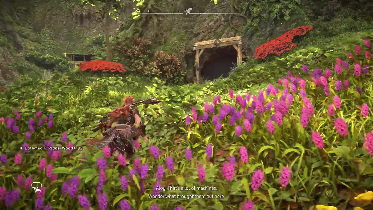 Approaching the cave where you'll find the Music Box.