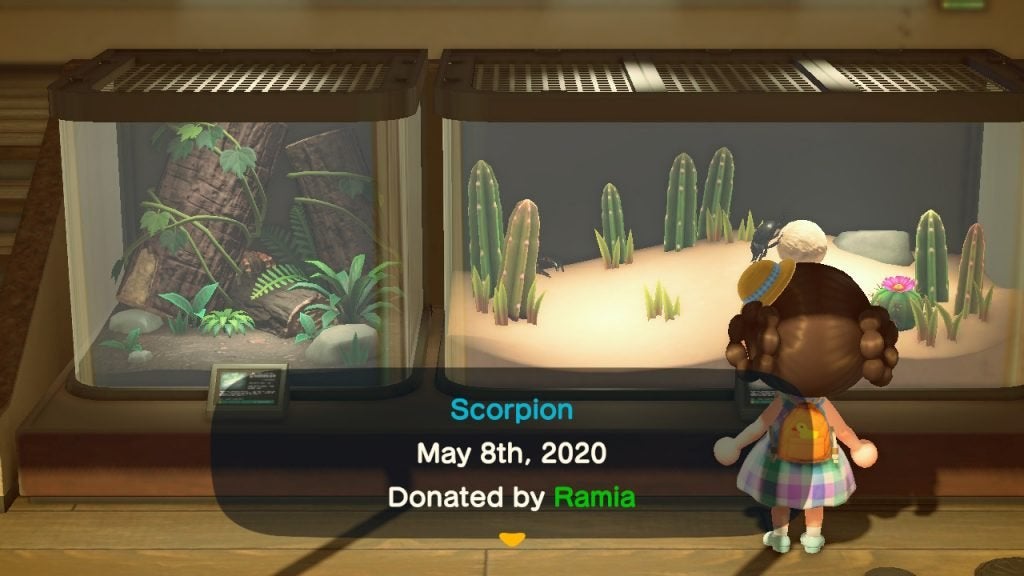 A scorpion in the museum in Animal Crossing: New Horizons.