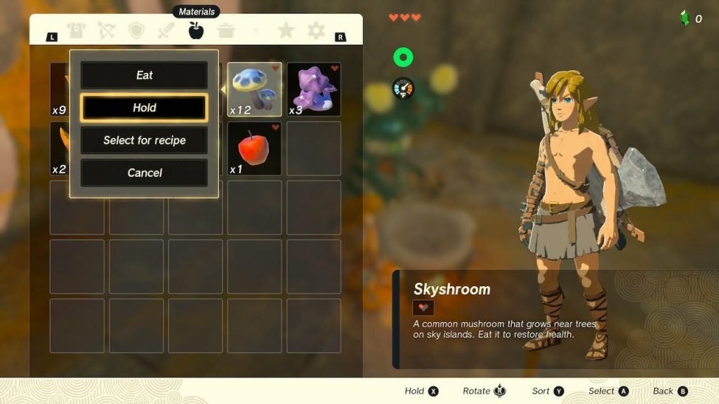 Holding ingredients to cook in Zelda Tears of the Kingdom.