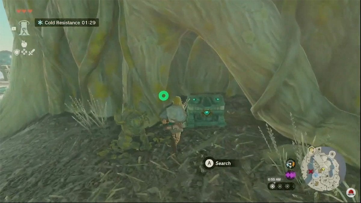 Link finding a chest inside of a giant tree stump in The Legend of Zelda: Tears of the Kingdom.