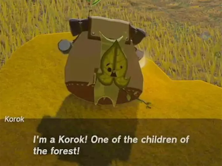 A Korok introducing themself to Link in The Legend of Zelda: Tears of the Kingdom.