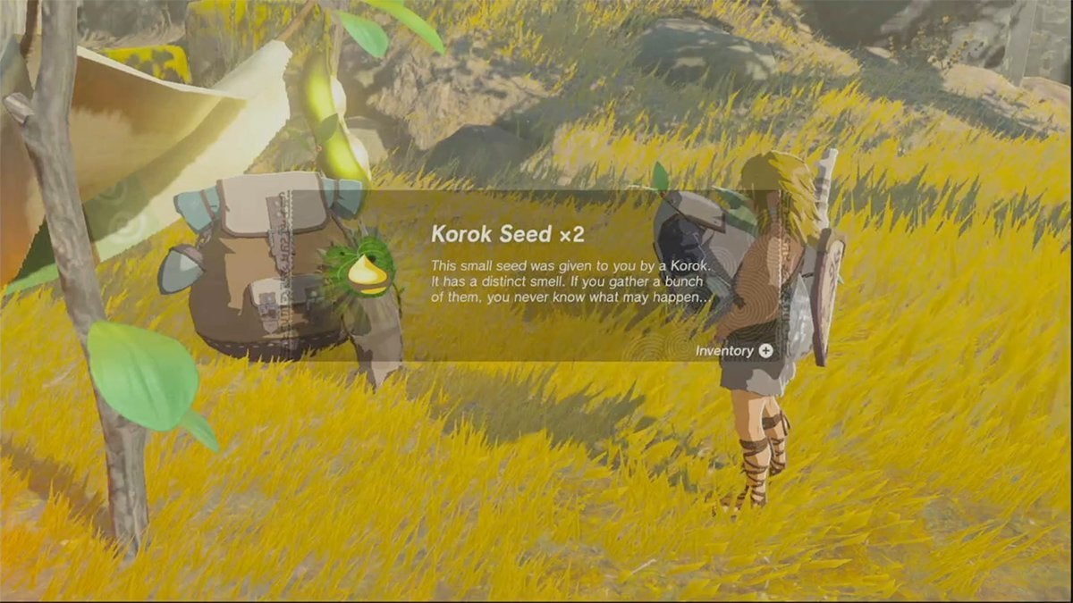 Link getting two Korok Seeds after helping a pair of Koroks.
