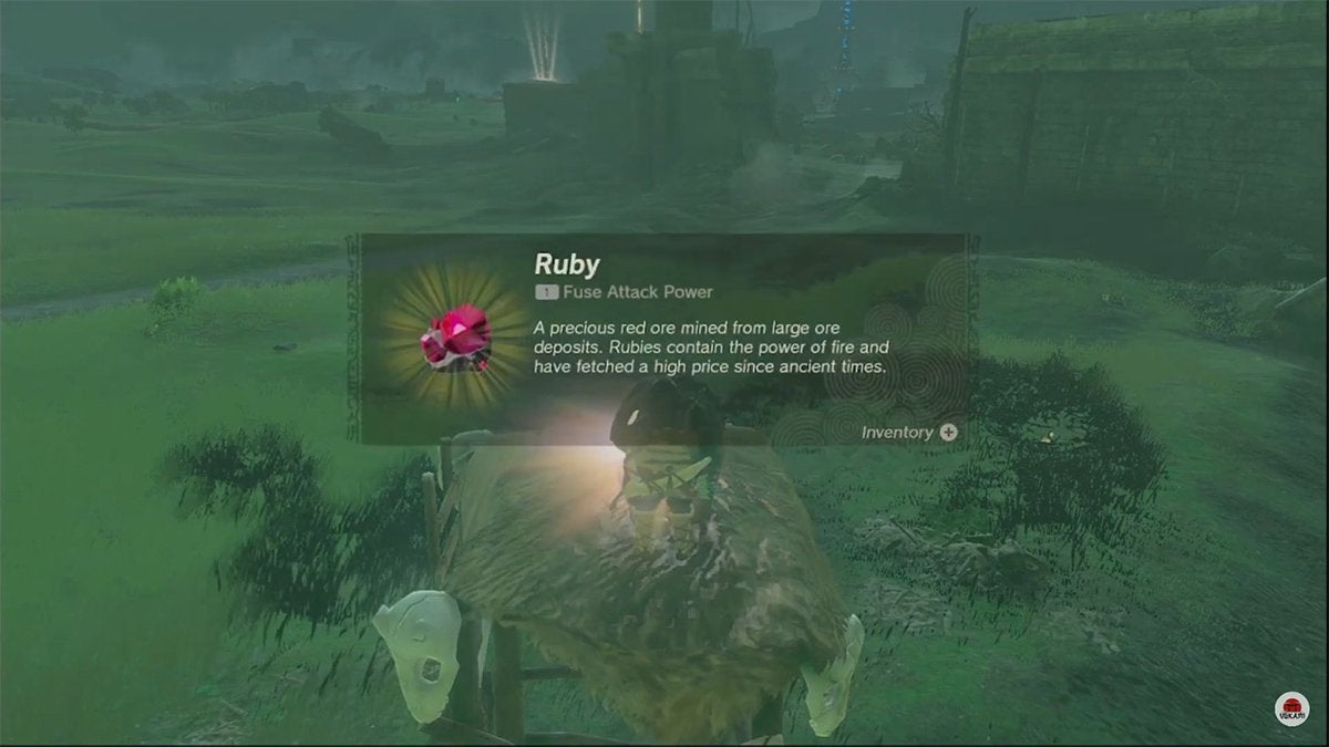 Link opening a chest and finding a Ruby in The Legend of Zelda: Tears of the Kingdom.