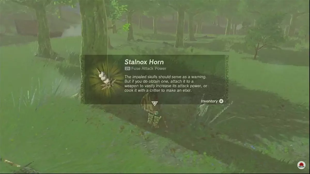 Link picking up a Stalnox Horn after defeating Stalnox.