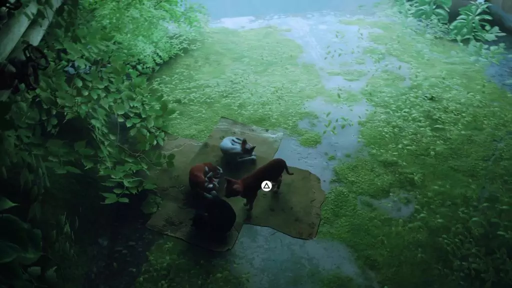 The Stray cat from Stray sleeping with its fellow cat companions.