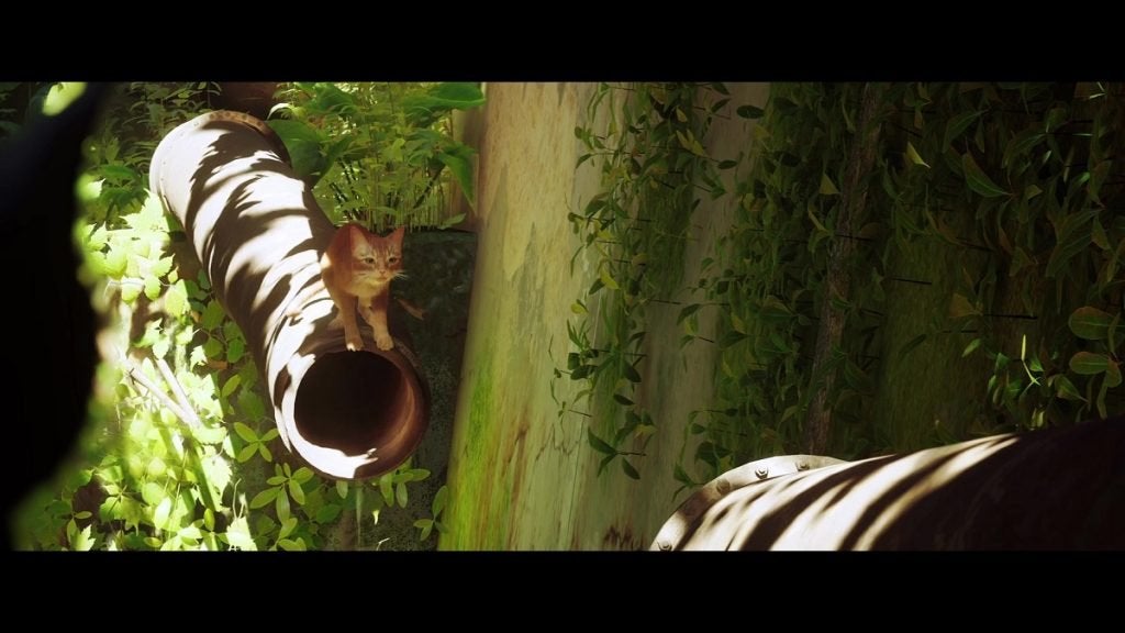 The Stray cat on a pipe in Stray.