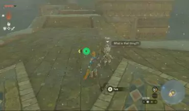 Where to Find Tulin in Zelda: Tears of the Kingdom