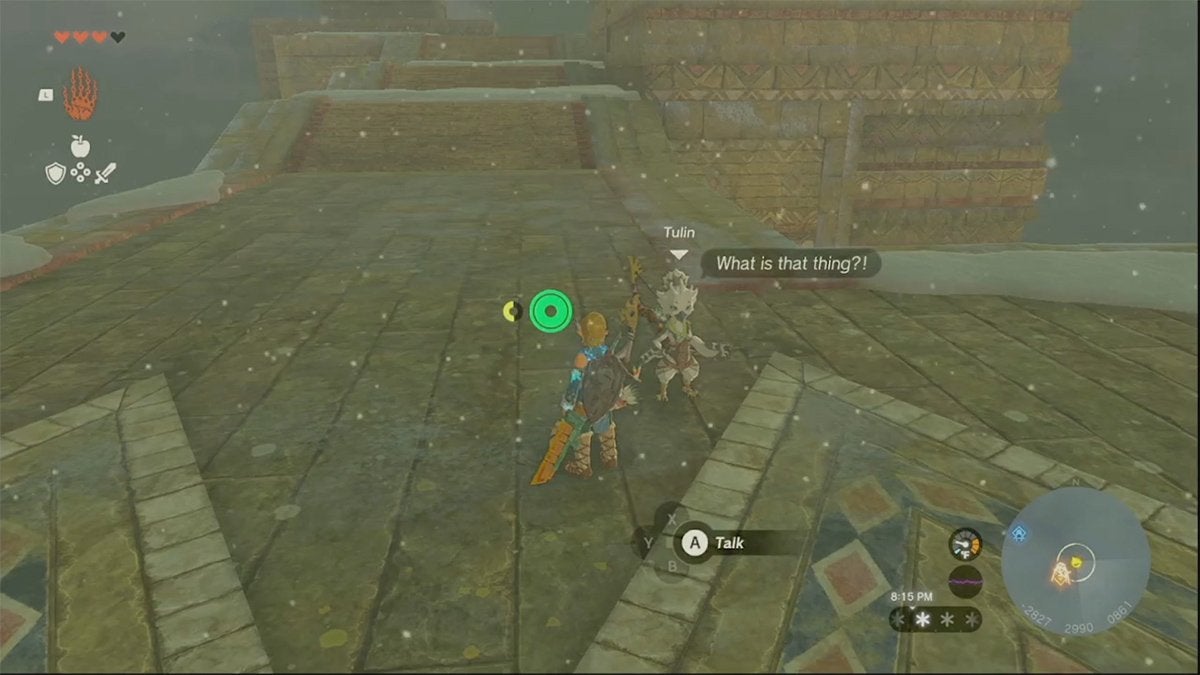 Link speaking with Tulin near Mayaumekis Shrine in The Legend of Zelda: Tears of the Kingdom.