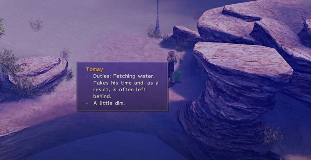 Tomay location in the Cactuar sidequest in Final Fantasy X.