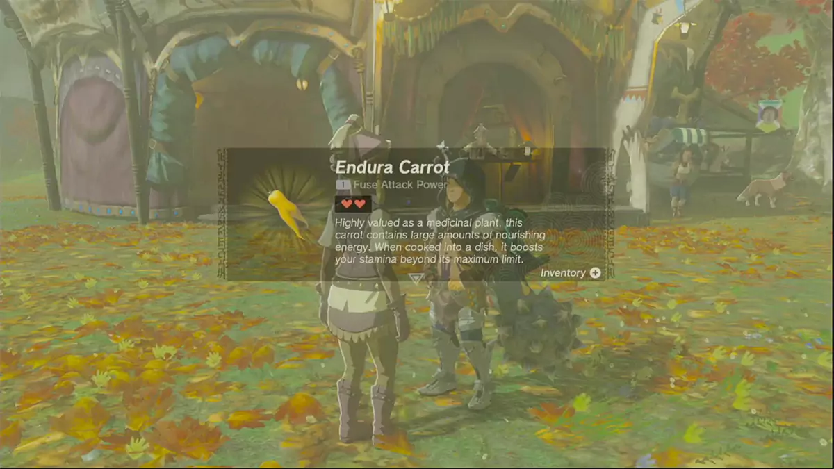 An NPC named Aya giving Link and Endura Carrot.