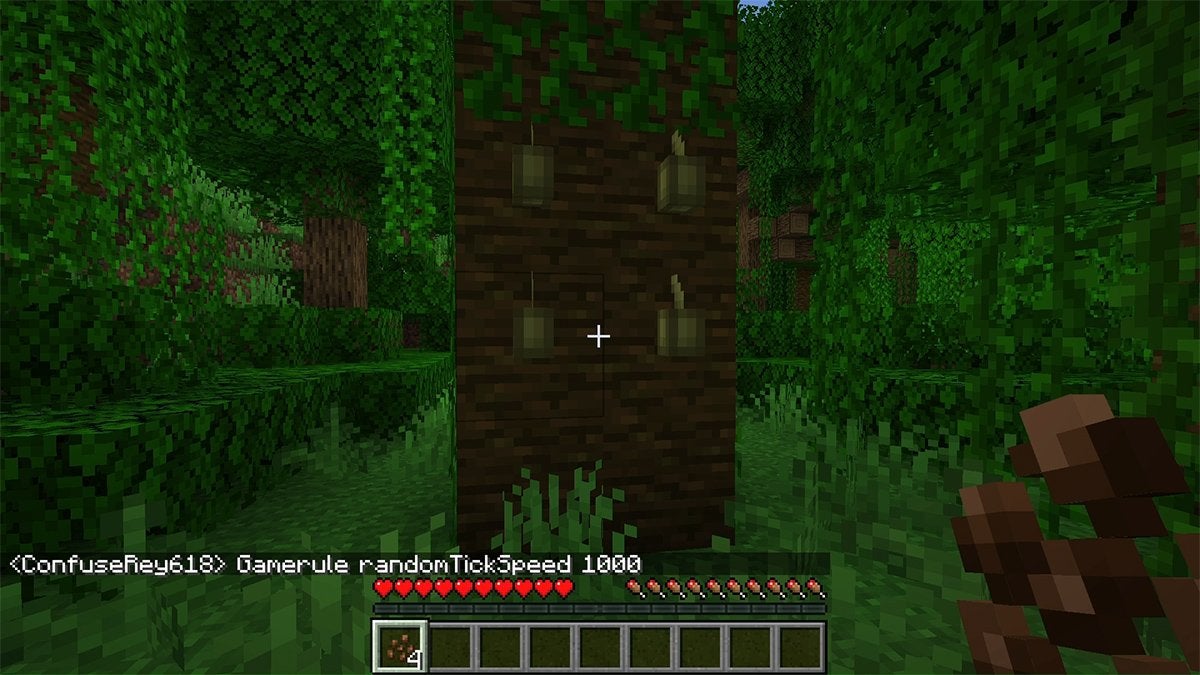A player inputting a command line that should change tick speed in Minecraft.