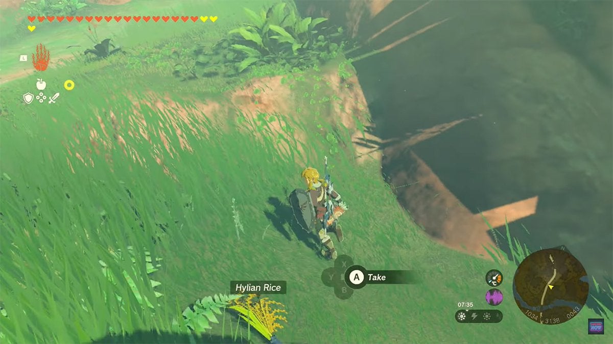 Link cutting long grass and finding Hylian Rice.