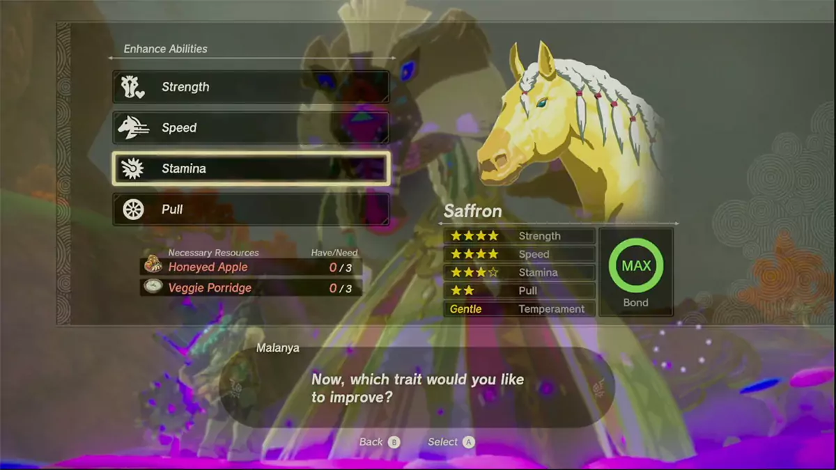 The player looking at the menu to upgrade horses.