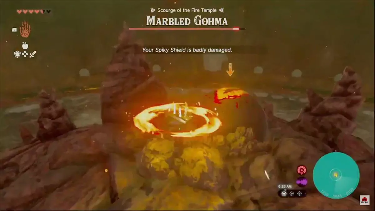 Link hitting Marbled Gohma in the eye.