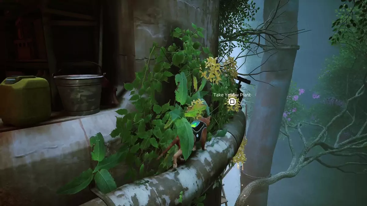 The Stray cat finding a yellow plant in the Antvillage.