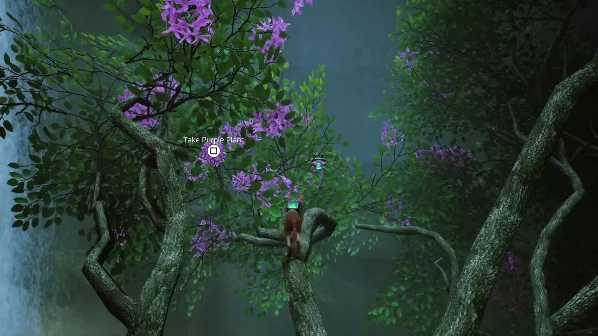 The Stray cat finding a purple plant in the Antvillage.