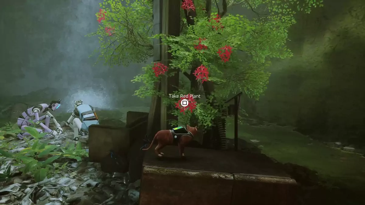 The Stray cat finding a red plant in the Antvillage.