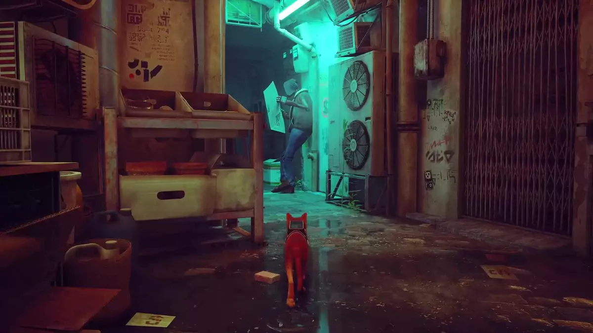 The Stray cat approaching Clementine's contact.