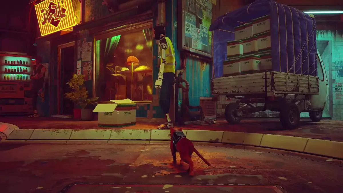 The Stray cat approaching the hat shop.