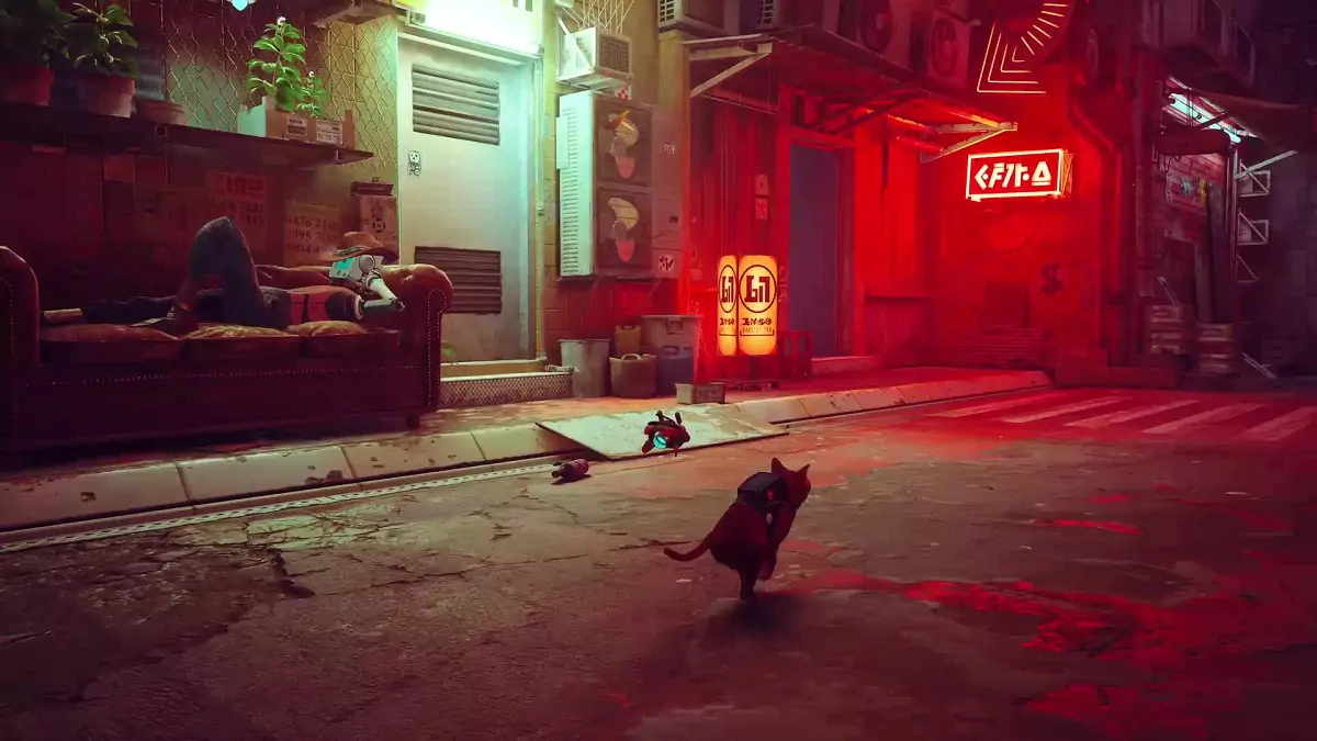 The Stray cat approaching the bar in Midtown.