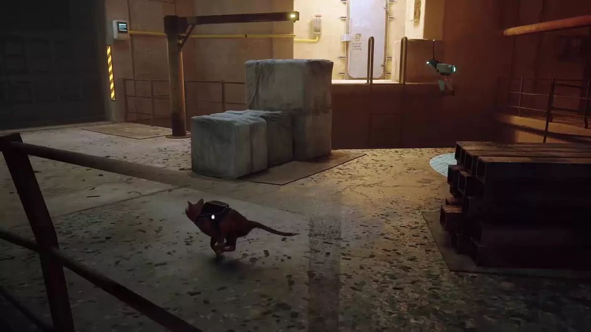 The Stray cat running towards a metal beam.