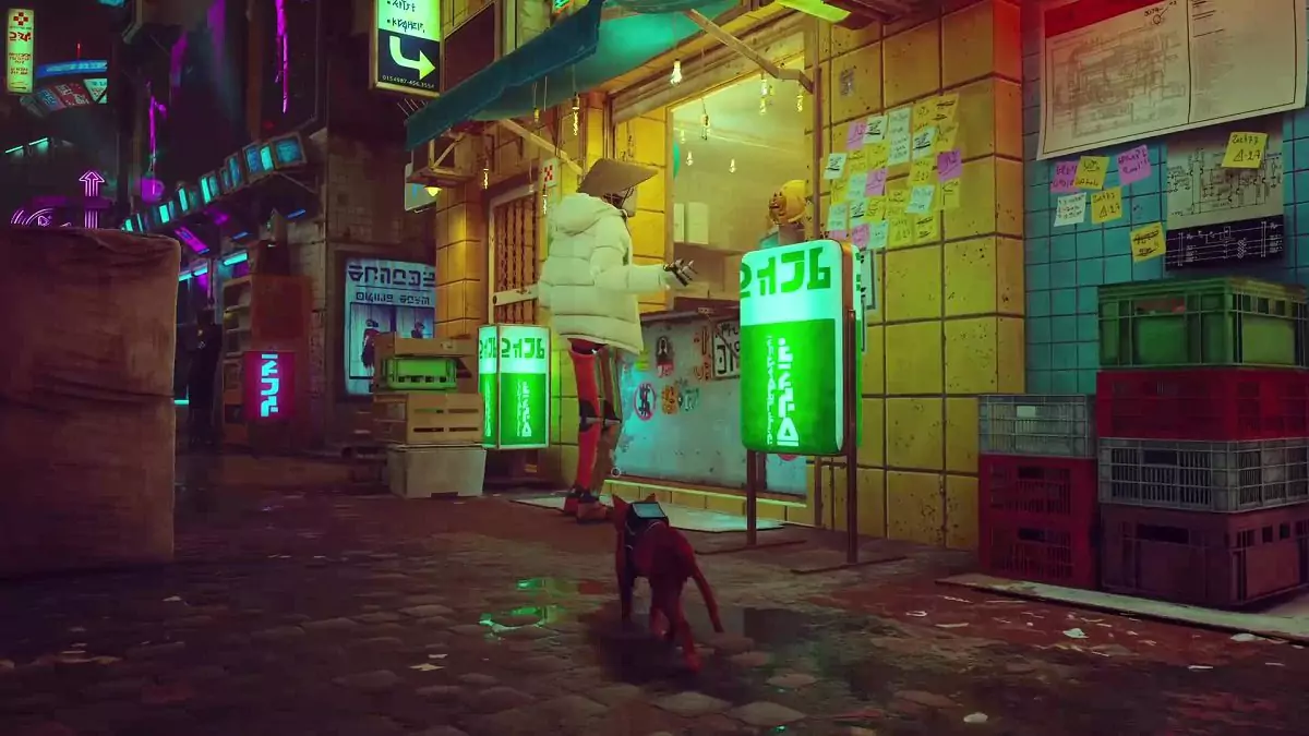 The Stray cat approaching a shop with green lights in Midtown.
