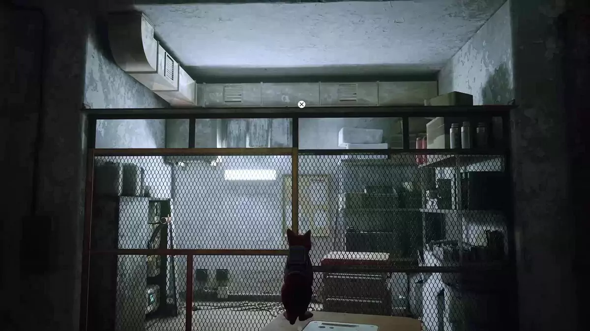 The Stray cat jumping over a fence.