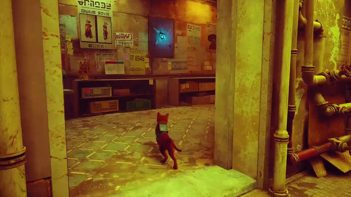 The Stray cat approaching a memory near Midtown's clothing shop.
