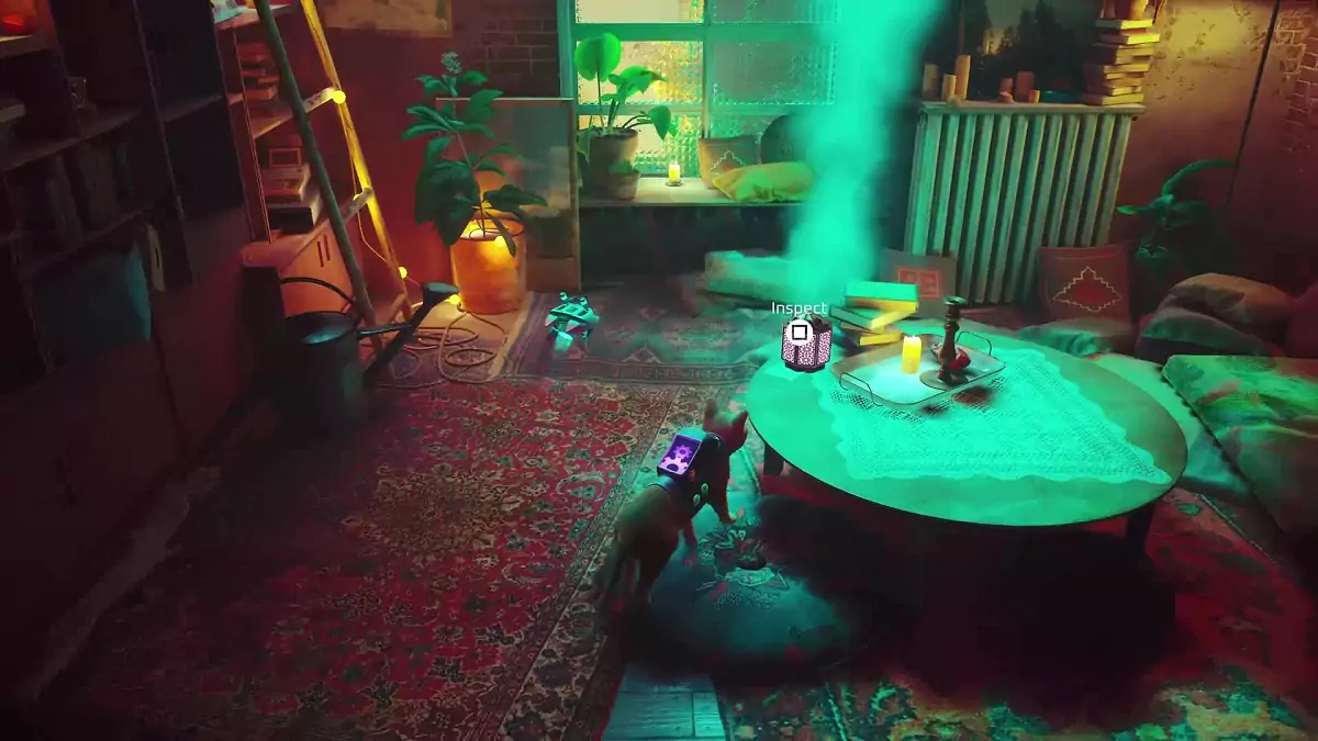 The Stray cat approaching Clementine's incense burner.